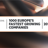 Vizion is one of the 1000 Europe's Fastest Growing Companies....again